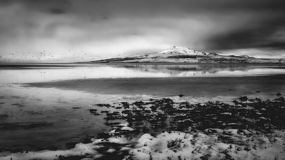 iceland, snow, sea, landscape, beach, black and white, clouds HD wallpaper