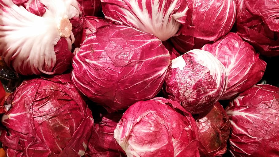 close up photo of red cabbages, radicchio salad, kohl, vegetables