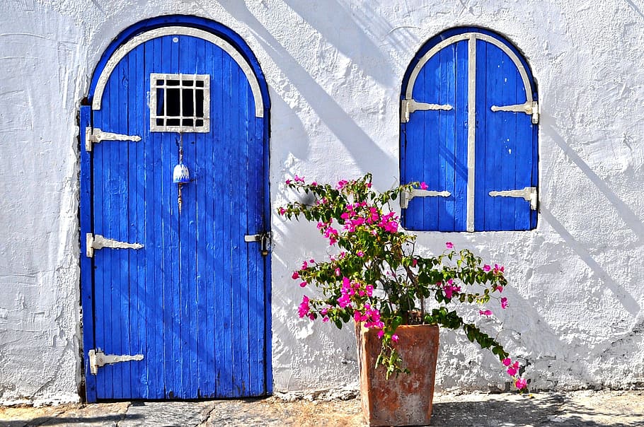pink bougainvillea in front of house, bodrum, the door, blue