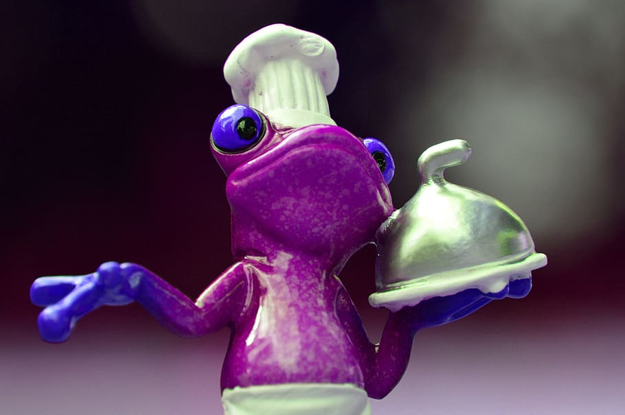 frog, cooking, eat, kitchen, gourmet, food, preparation, funny HD wallpaper