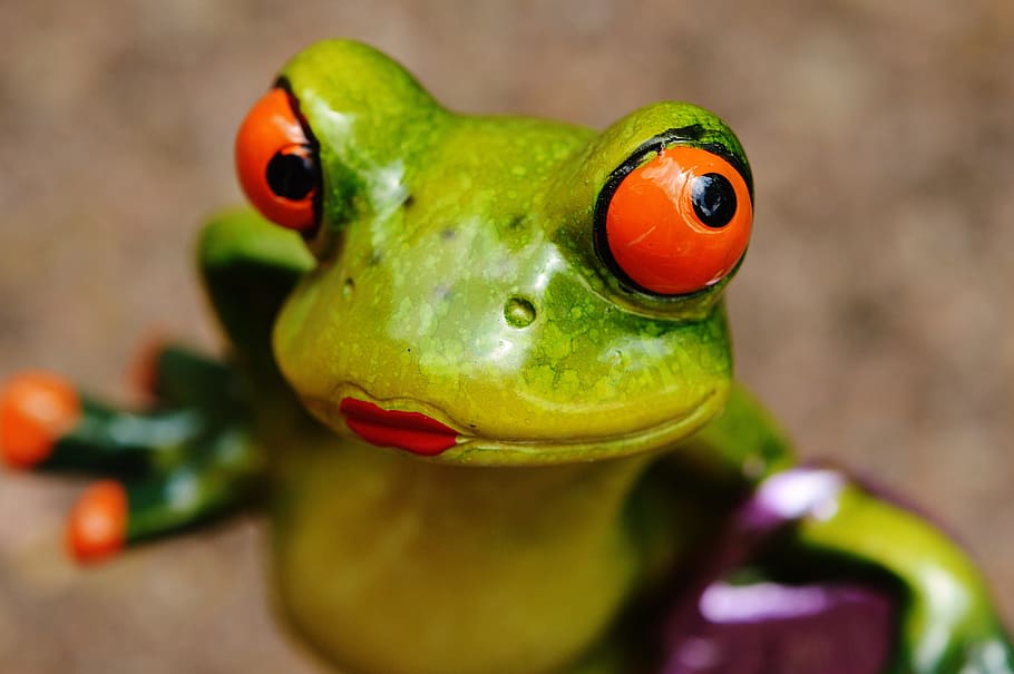 frog, chick, funny, cute, sweet, figure, close, eyes, representation HD wallpaper