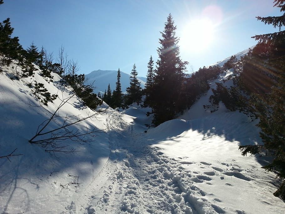 mountains, tatry, winter, view, snow, nature, forest, tree HD wallpaper