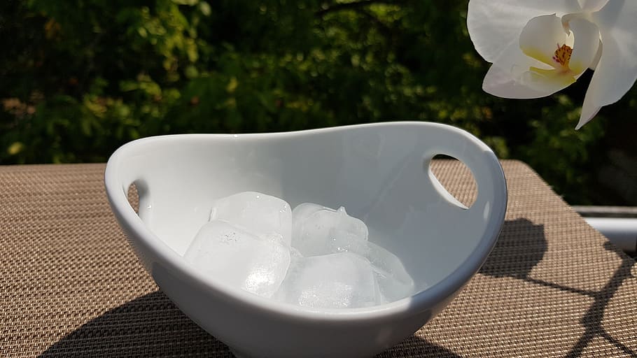 ice cubes, shell, summer, white color, food and drink, plant HD wallpaper