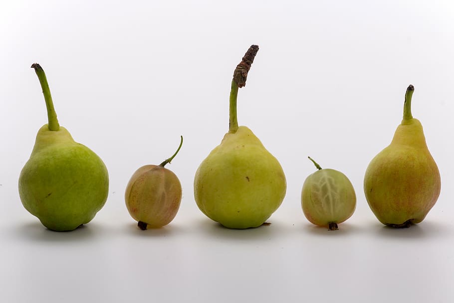 fruit, pears, macro, ripe, food, freshness, organic, healthy Eating HD wallpaper