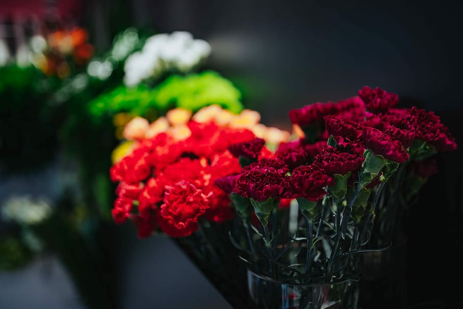 Collection of colourful flower bouquets, flowers, roses, flora HD wallpaper