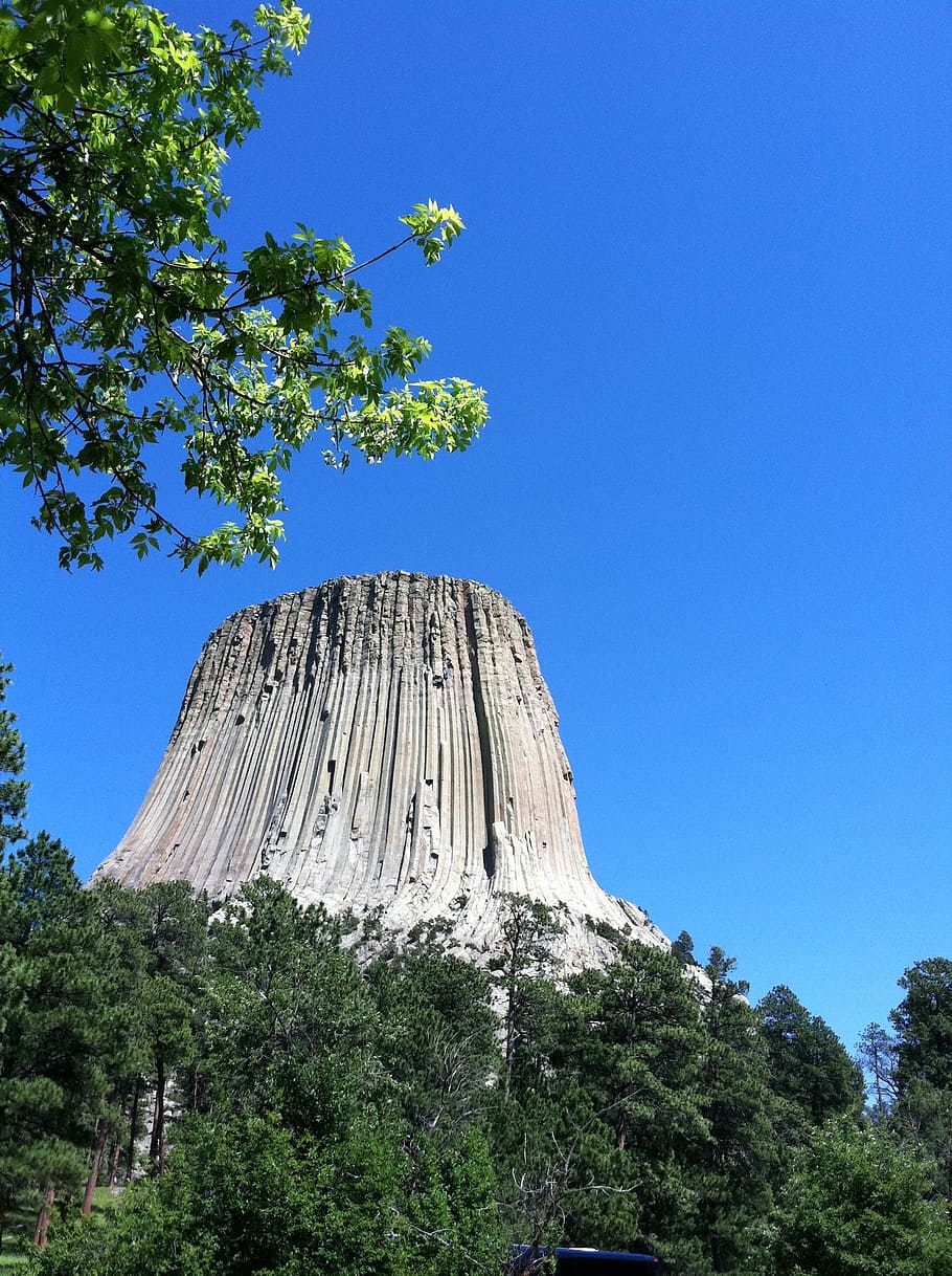 devils tower, tree, sky, wyoming, national, monument, rock HD wallpaper