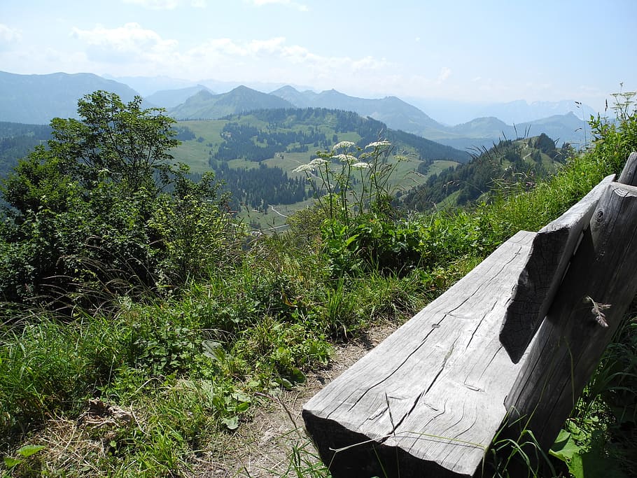 Mountain rest. Банк в горах. Банка на горе. Горы в банке. To rest Mount.