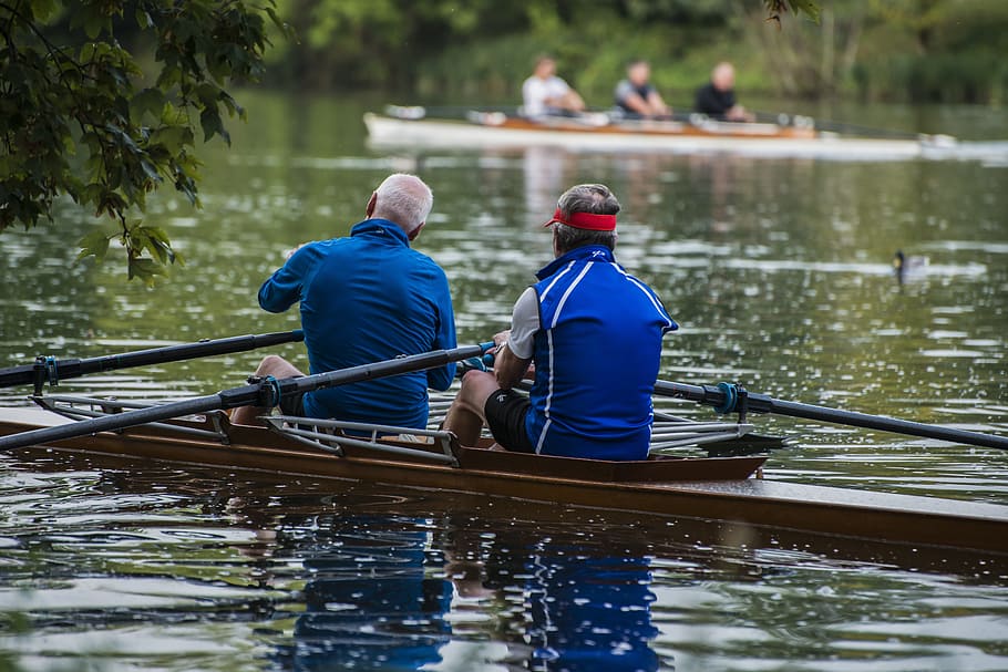 rowing, rower, danube, river, water, boot, water sports, rowing boat HD wallpaper