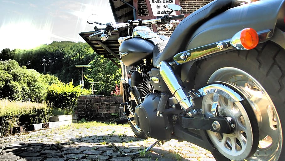 harley, fat bob, summer, transportation, mode of transportation HD wallpaper