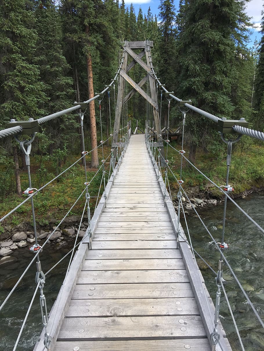 hanging bridge, river, tree, built structure, architecture HD wallpaper