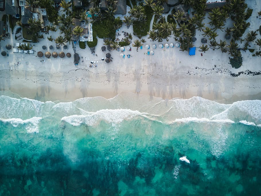 aerial photography of beach shore during daytime, aerial photography of green beach