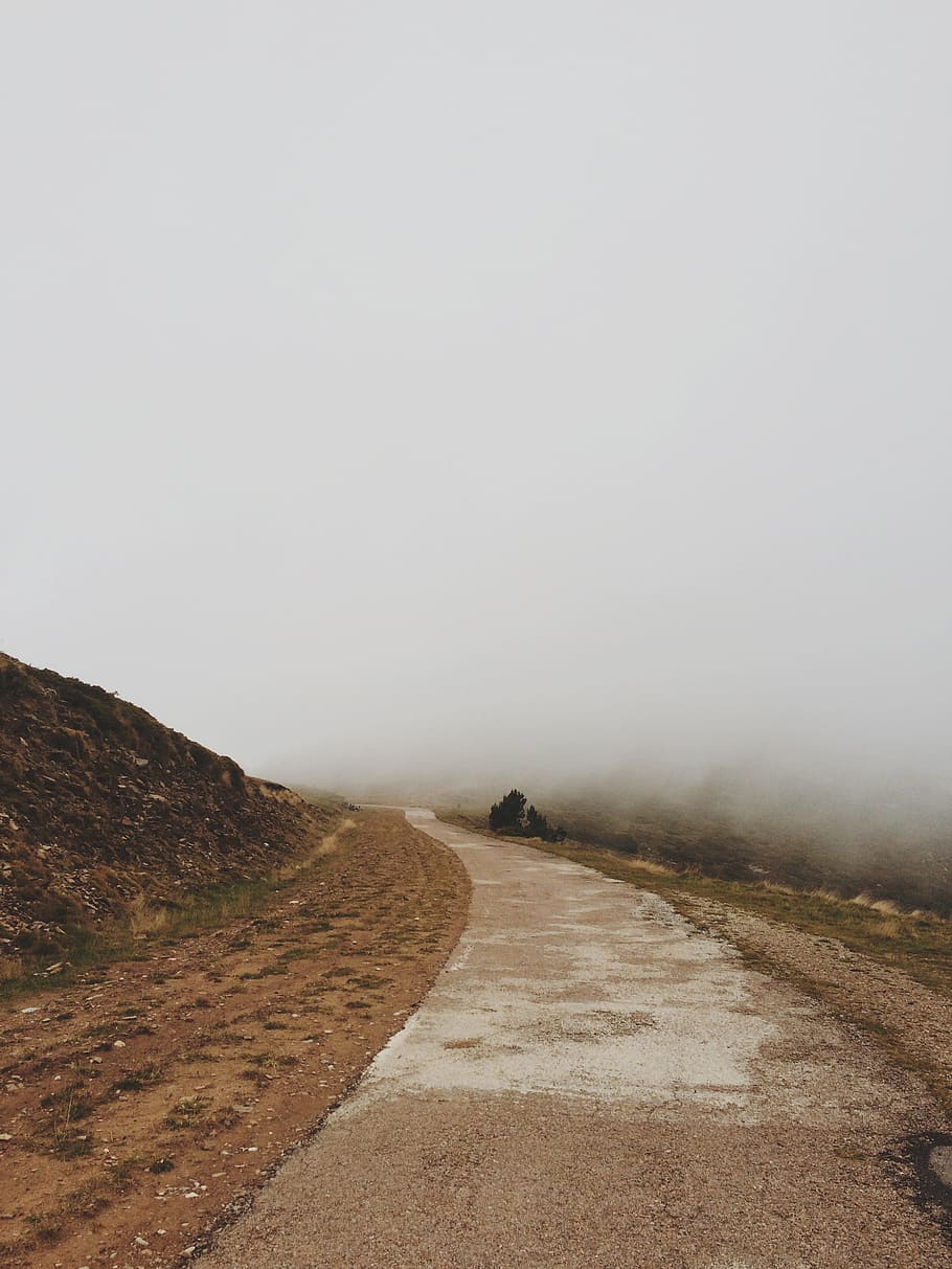 scenery of a road under fog, pathway between open field at daytime HD wallpaper