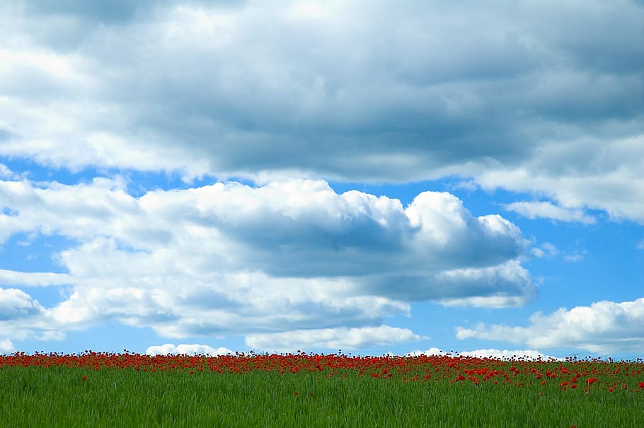 Sky, Clouds, Blue, Earth, Cloudy, Wind, cloudy sky, rays, light HD wallpaper