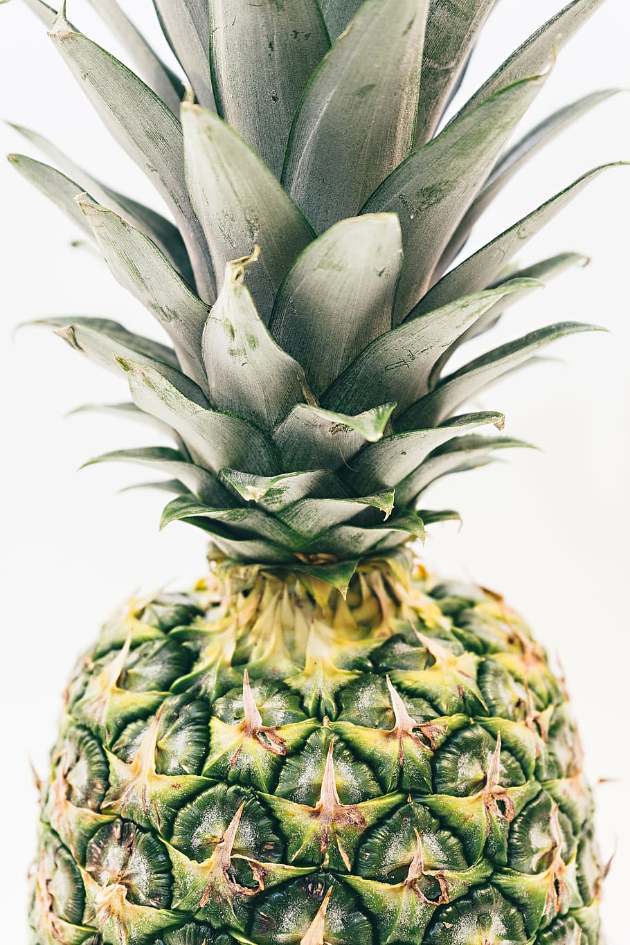 close up photography of pineapple fruit, dessert, appetizer HD wallpaper