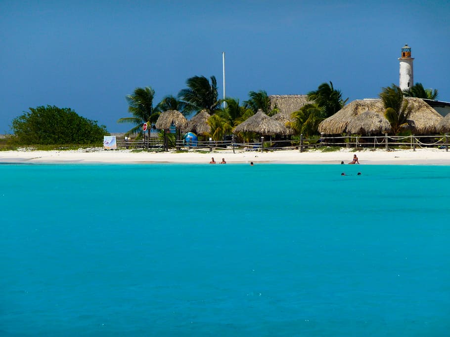 beach, ocean, sand, sea, swimming, vacations, palm Tree, blue HD wallpaper