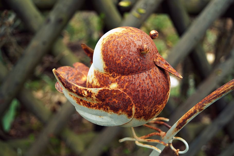 metal, bird, rust, rusty, rusted, old, deco, decoration, garden HD wallpaper