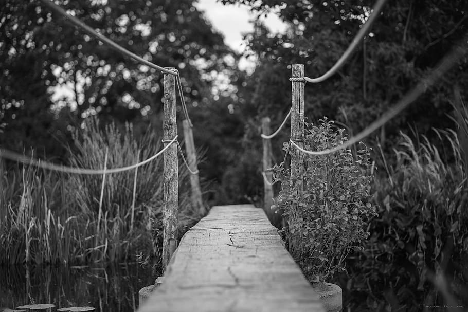 Monochrome wooden bridge, greyscale photography of a wooden bridge HD wallpaper