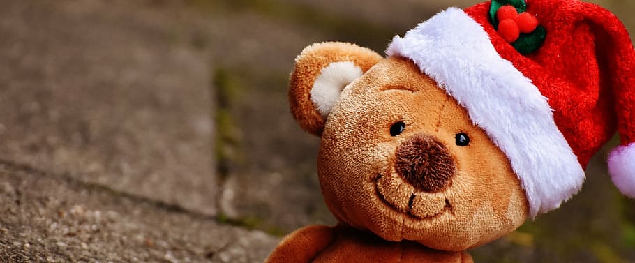 HD wallpaper: brown bear plush toy, christmas, teddy, soft toy, santa hat,  funny | Wallpaper Flare