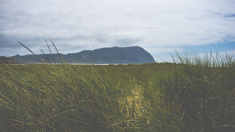 grass, field, outdoors, nature, mountains, sky, plant, cloud - sky HD wallpaper