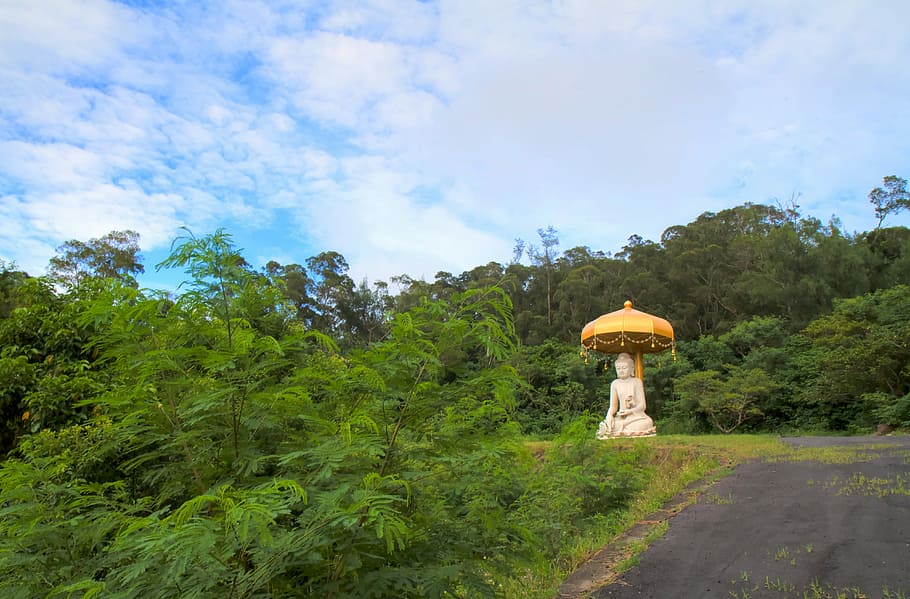 Buddha Statues, Buddhism, artistic conception, tree, day, sky HD wallpaper