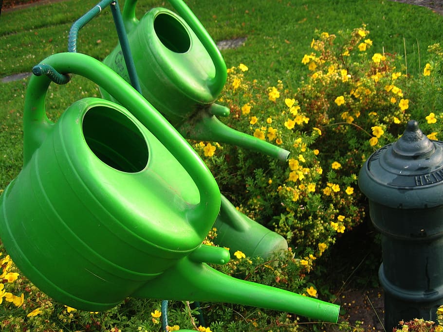 watering can, stand, cemetery, casting, irrigation, plant, hydrant HD wallpaper