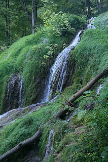 brook, water, great brook, idyllic, green, haunting, moss, mossy HD wallpaper