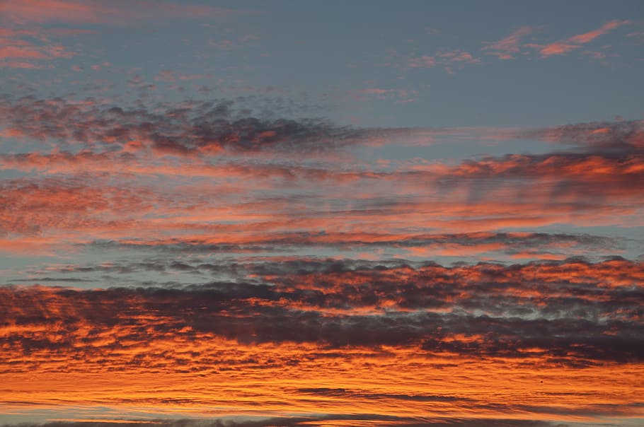 sunset, sky, pink, orange, red, nature, summer, sunrise, cloud HD wallpaper