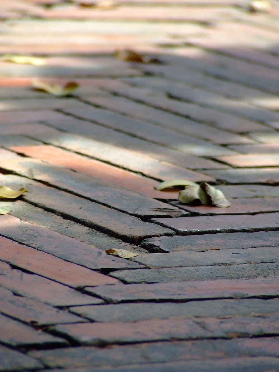 Floor, Bricks, Pattern, Symmetry, red, water, outdoors, animal themes HD wallpaper