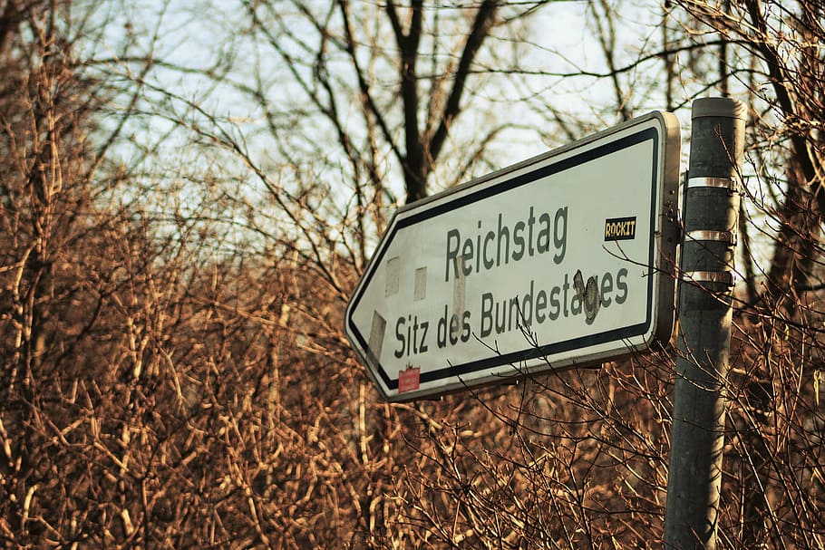 berlin, sign, germany, text, communication, tree, western script HD wallpaper