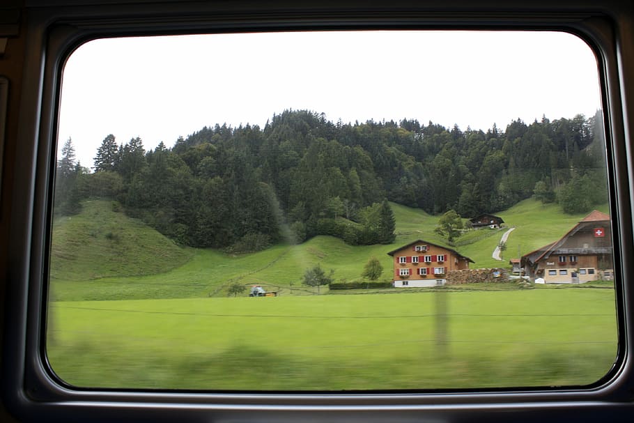train, window, bls, alpine, mountains, home, switzerland, tree HD wallpaper