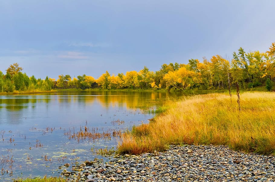 Landscape, Nature, Autumn, rain, sky, river, trees, bright HD wallpaper