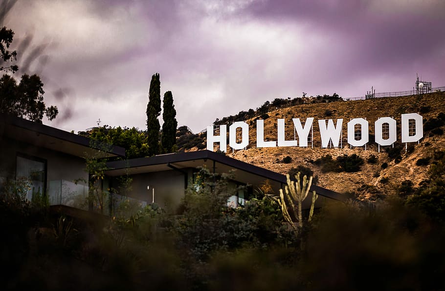 Hollywood signage, black and gray glass house near Hollywood sign, HD wallpaper