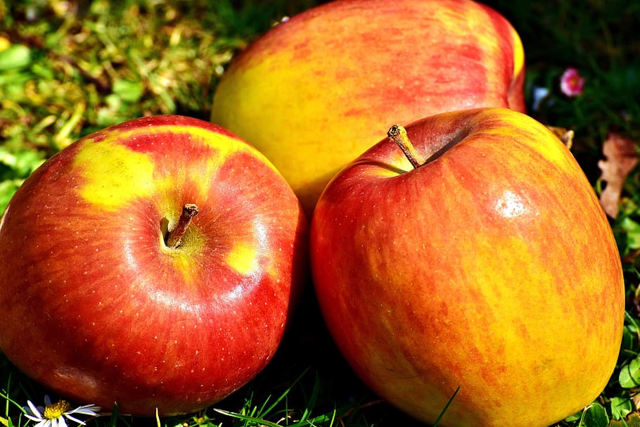 apple, fruit, ripe, healthy, vitamins, red, food, still life HD wallpaper