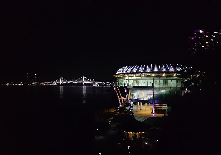 haeundae beach, nuri flooring, night view, illuminated, architecture HD wallpaper