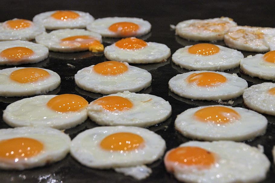bunch of sunny side-up eggs, fried, buffet, gastronomy, hotel, HD wallpaper