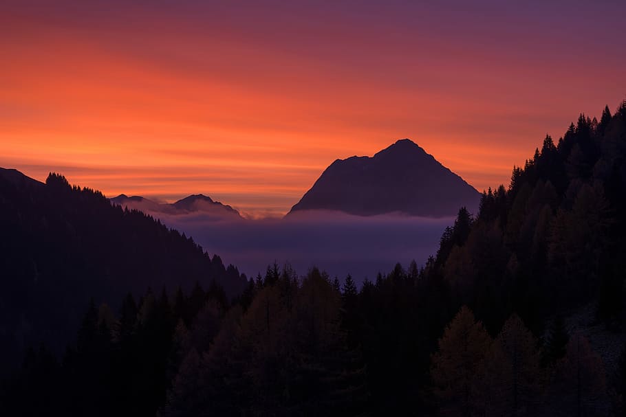 silhouette of trees during sunset, mountain with distance to pine trees during sunset HD wallpaper