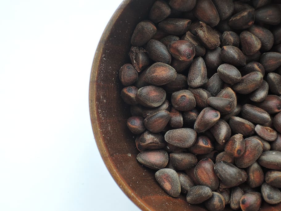 food, nuts, cedar, food and drink, still life, brown, coffee - drink HD wallpaper