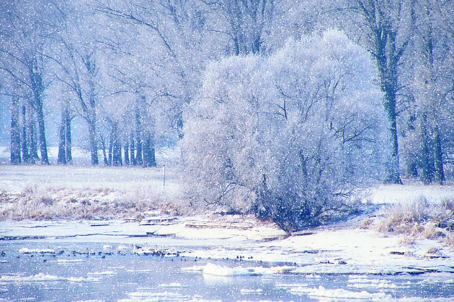 Winter, Impressions, Wintry, Snow, Cold, winter impressions HD wallpaper