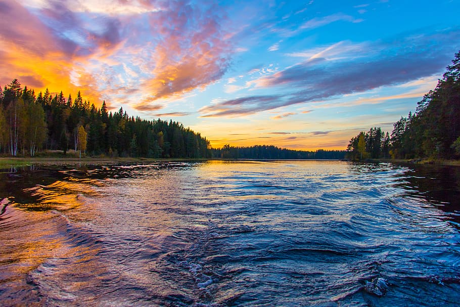 dawn, nature, sky, water, clouds, dusk, forest, idyllic, ripples HD wallpaper