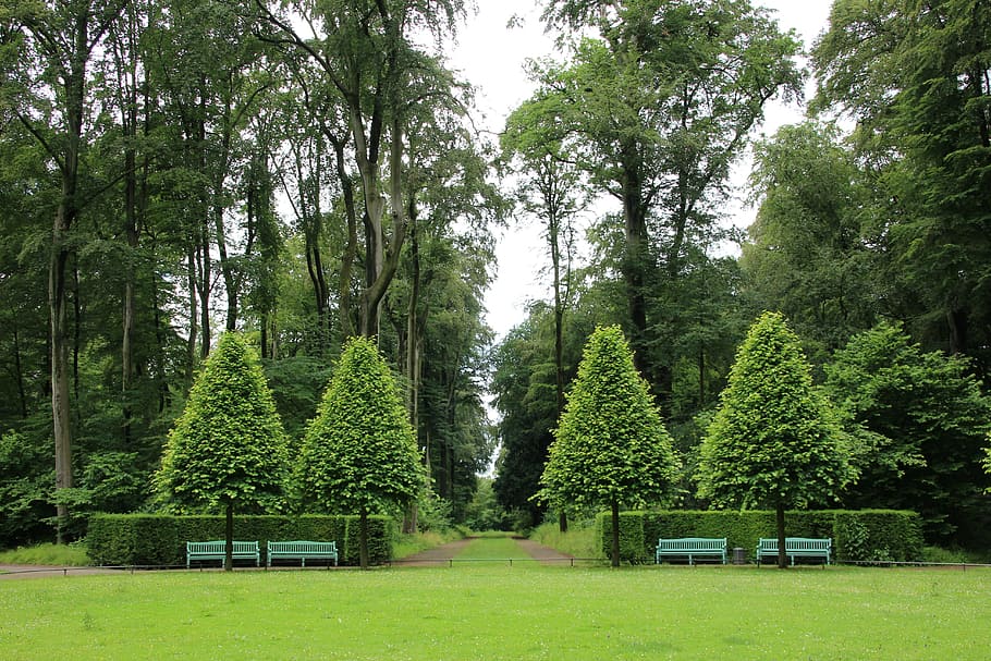 Schlossgarten, green, maintained, germany, park, meadow, garden HD wallpaper