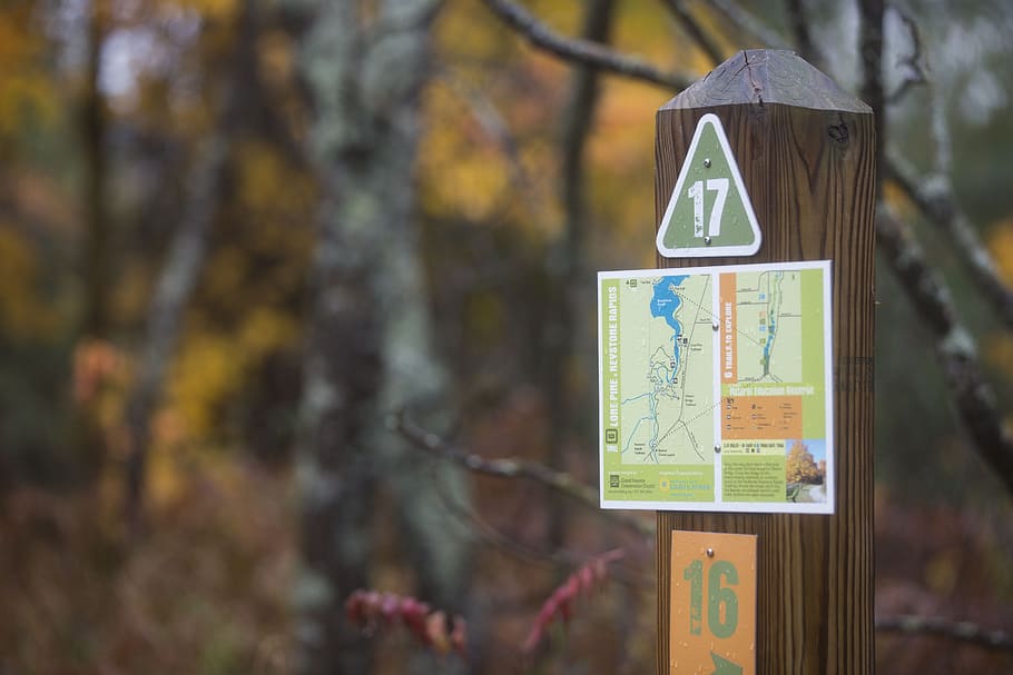 map, rustic, sign, forest, fall, cloudy day, rainy, tree, focus on foreground HD wallpaper