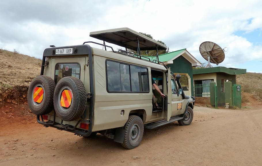 vevoer, jeep, safari, truck, spare tire, firmly, tough, wildlife watching, HD wallpaper