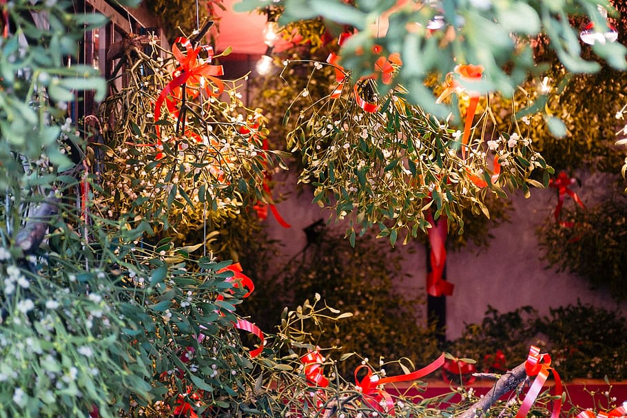 Christmas green decorations, other, red, celebration, christmas Decoration HD wallpaper