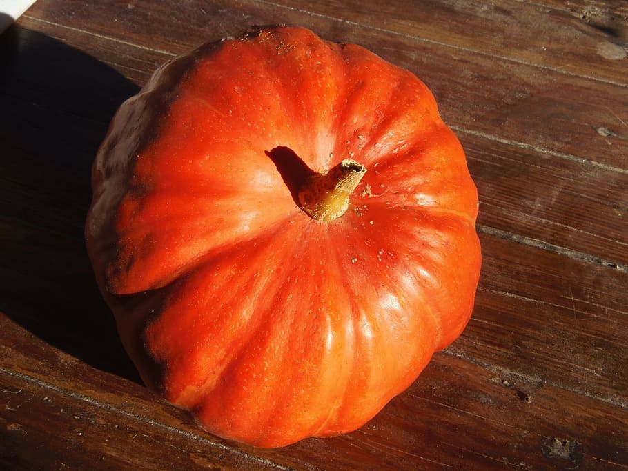 pumpkin, sun, fruit, light, food and drink, freshness, healthy eating HD wallpaper