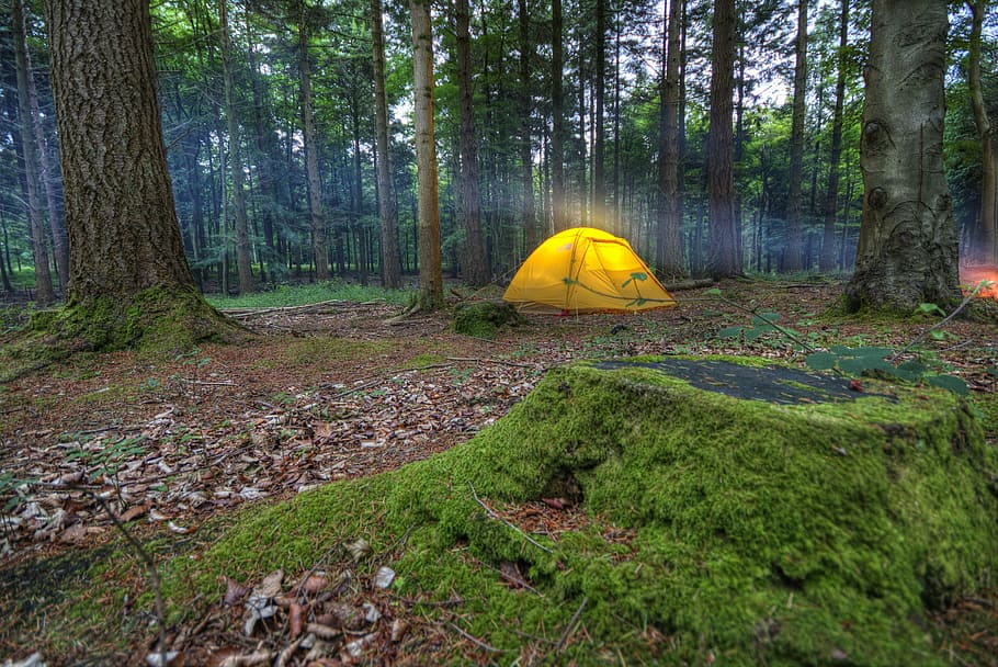Camping, Tent, Wilderness, Nature, recreation, adventure, forest, HD wallpaper