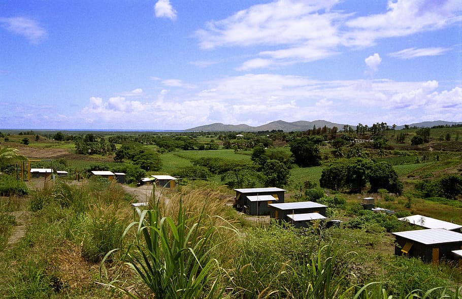 brown wooden houses surrounded by trees, fiji, sky, clouds HD wallpaper