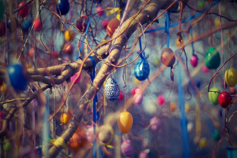 assorted egg shell decors, easter eggs, tree, willow, spring HD wallpaper