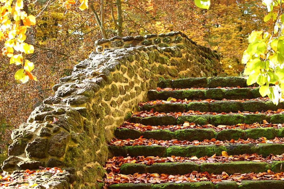 HD wallpaper: photo of staircase filled with fallen leaves, autumn, stairs  | Wallpaper Flare