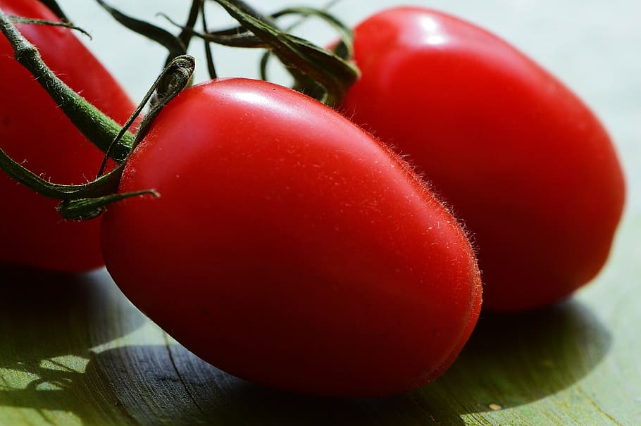 tomatoes, vegetables, macro, red, food, garden, healthy, market HD wallpaper