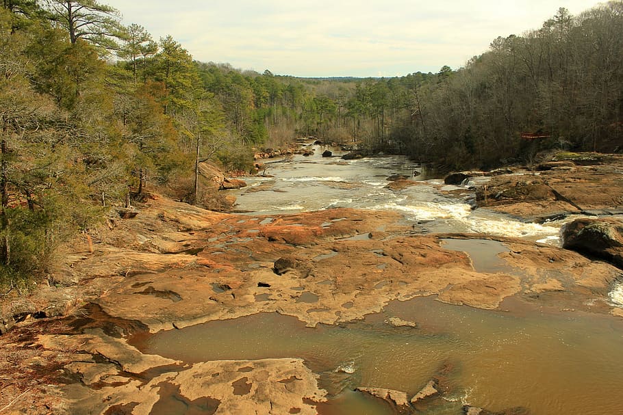 river, flowing, plants, trees, green, forest, rapids, streams HD wallpaper